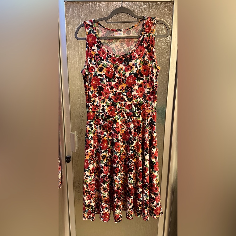 EUC LulaRoe dress size medium
